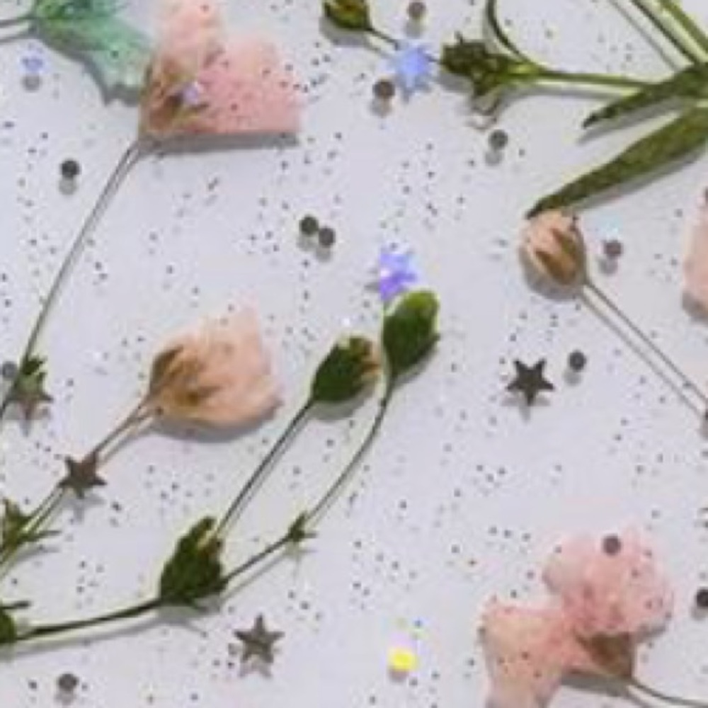 Meet your Posher, Kendall